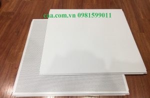 mau-tran-nhom-lay-in-dot-lo-phang1