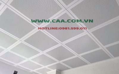 tran-nhom-clip-in 600x600